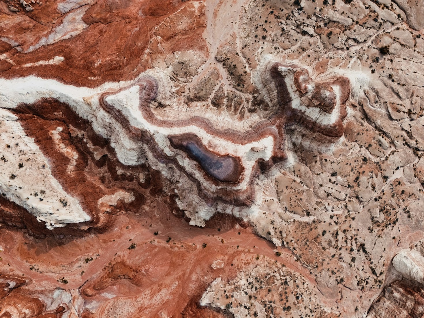 How Cartography Shapes Our Understanding of the World